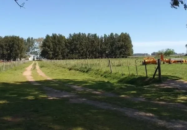 Campo en San Vicente. VENTA